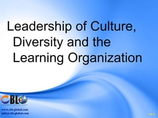 www.cbl-global.com
info@cbl-global.com
Leadership of Culture,
Diversity and the
Learning Organization
11-1
 