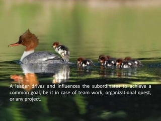 A leader drives and influences the subordinates to achieve a
common goal, be it in case of team work, organizational quest,
or any project.
 