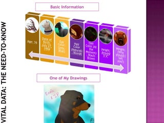 Vital Data: The Need-To-KnowBasic InformationOne of My Drawings