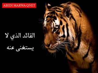A.MARWA QNET: Leadership story