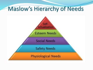 Maslow’s Hierarchy of Needs
 
