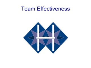 Team Effectiveness
 