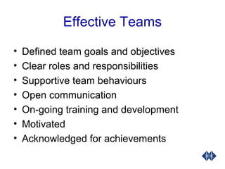 Leadership & Team Development