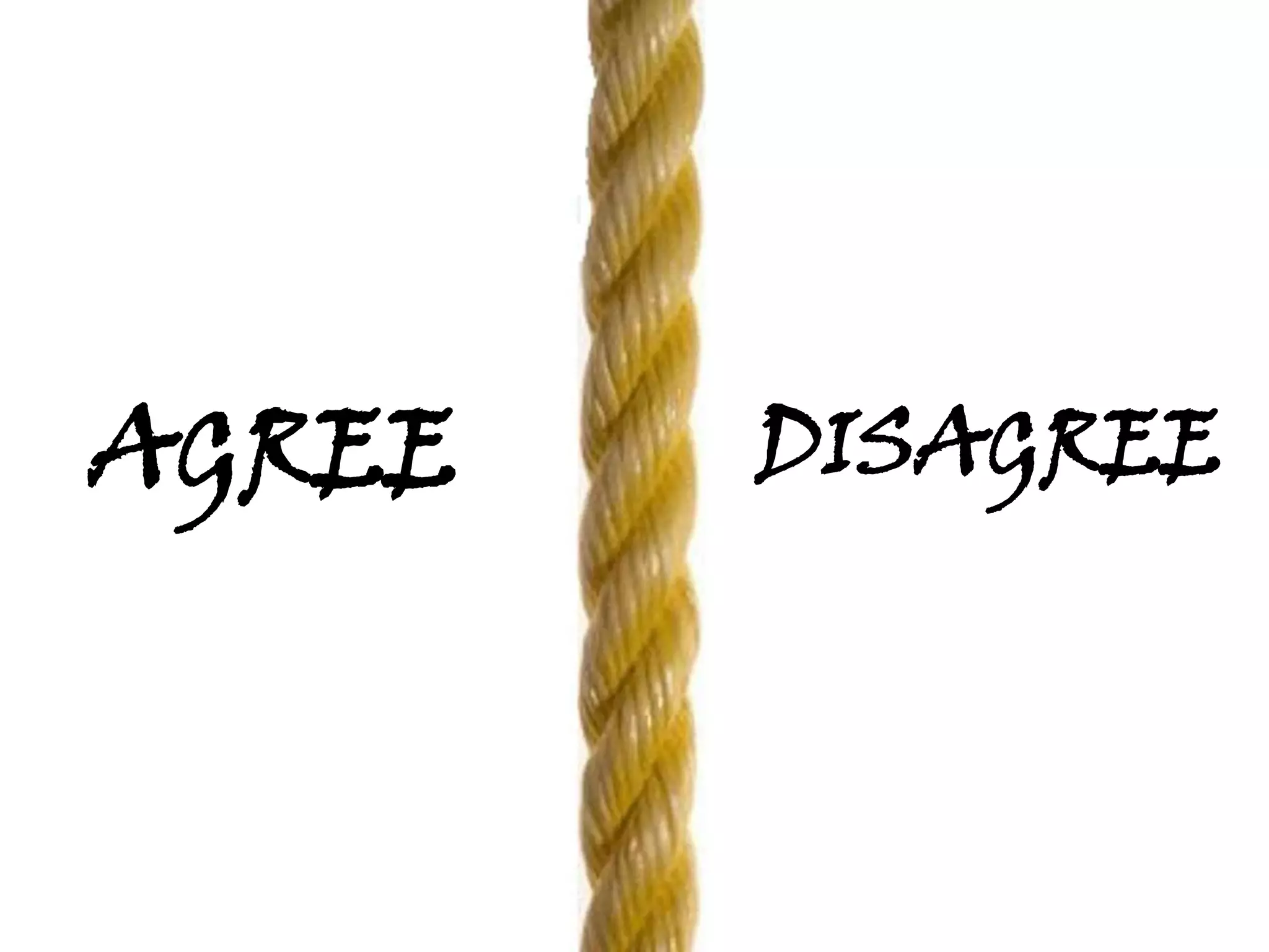 What characteristics make a model LEADER?