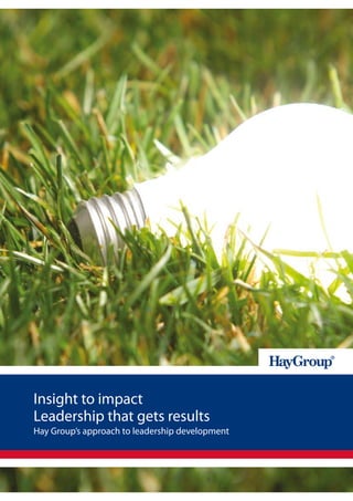 Insight to impact
Leadership that gets results
Hay Group’s approach to leadership development
 