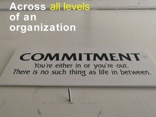 Across  all levels of an organization 
