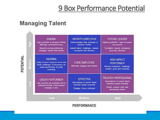 9 Box Performance Potential
 