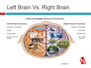 Left Brain Vs. Right Brain
4/4/2017
 