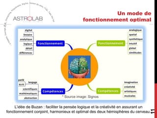 Un mode de
fonctionnement optimal
11
L’idée de Buzan : faciliter la pensée logique et la créativité en assurant un
fonctionnement conjoint, harmonieux et optimal des deux hémisphères du cerveau.
* Source image: Signos
 