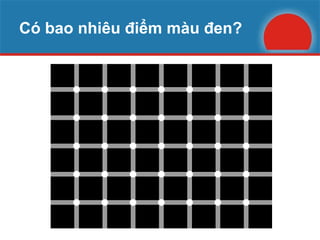 Có bao nhiêu điểm màu đen? 