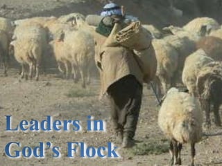 Leaders in God’s Flock 
