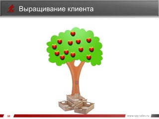 www.spy-sales.ru
Выращивание клиента
 