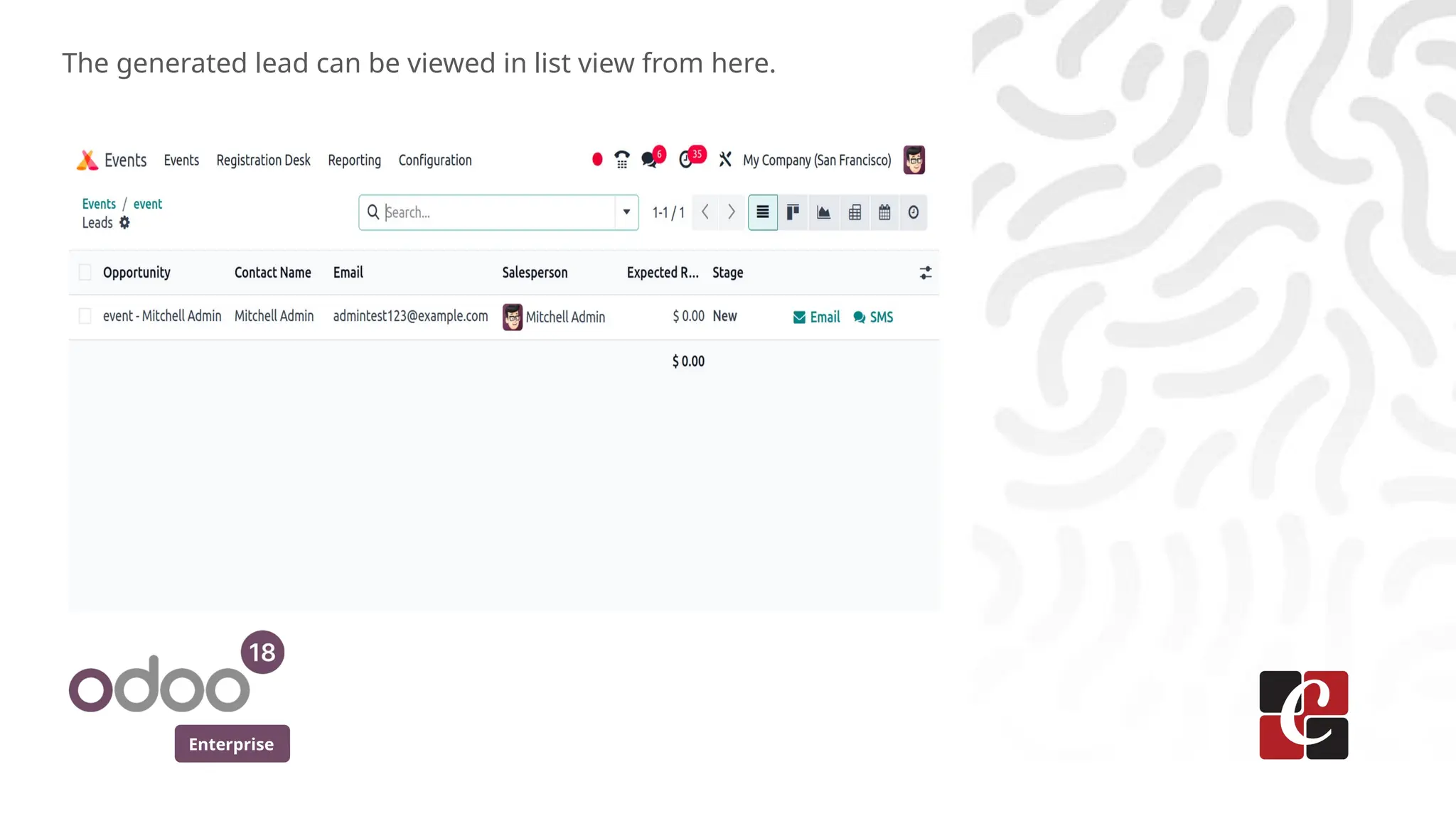 Enterprise
The generated lead can be viewed in list view from here.
 