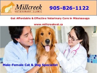 905-826-1122
Get Affordable & Effective Veterinary Care in Mississauga
www.millcreekvet.ca
Male-Female Cat & Dog Specialist
 