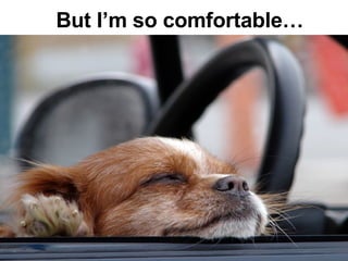 But I’m so comfortable… 
