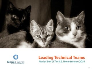 Leading Technical Teams
I T.A.K.E. Unconference 2014
Leading Technical Teams
Flavius Stef | I T.A.K.E. Unconference 2014
1.0
 
