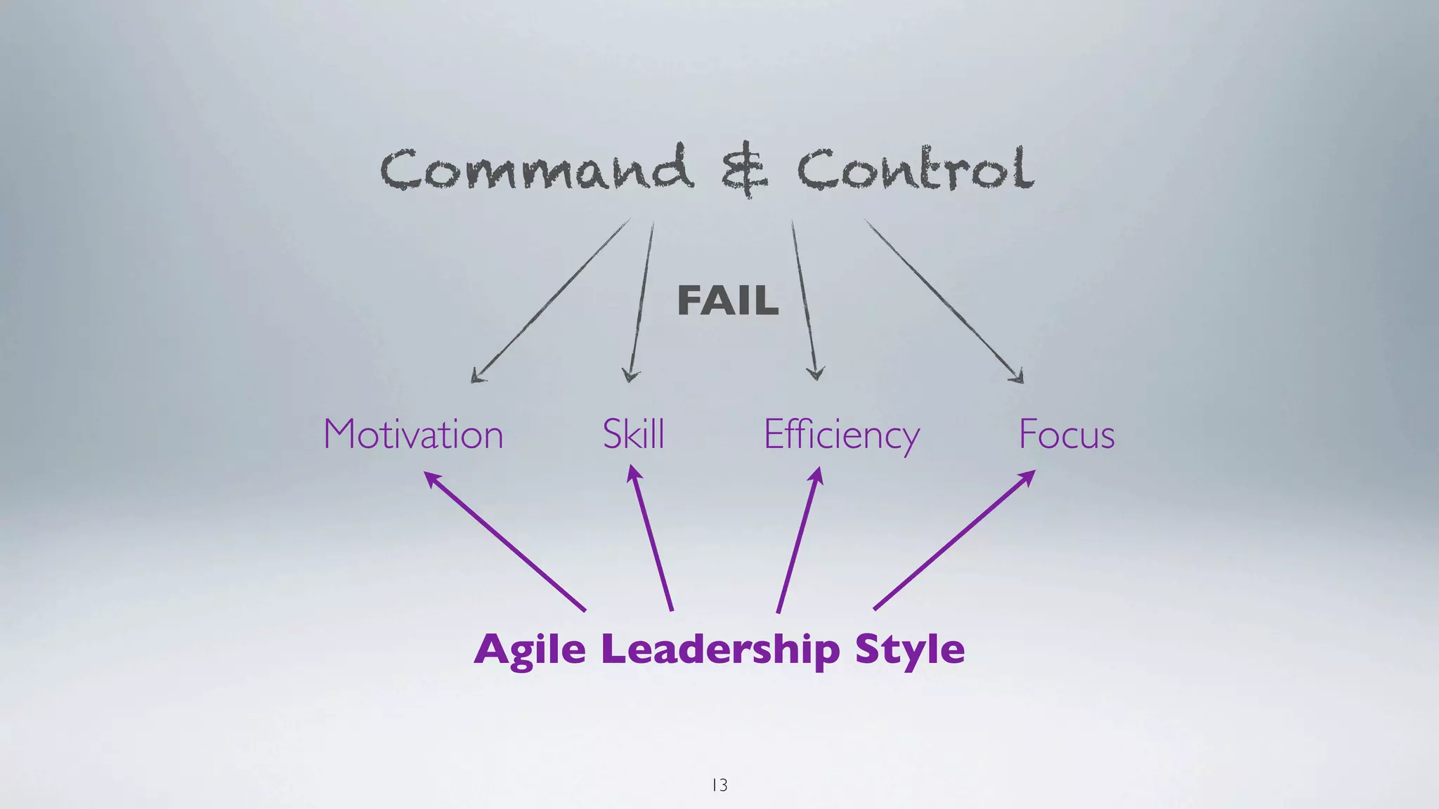 Command & Control

                     FAIL


Motivation   Skill         Efﬁciency   Focus



        Agile Leadership Style

                      13
 
