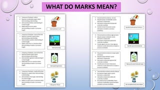 WHAT DO MARKS MEAN?
 
