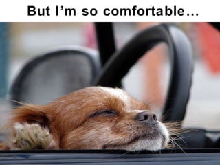 But I’m so comfortable… 