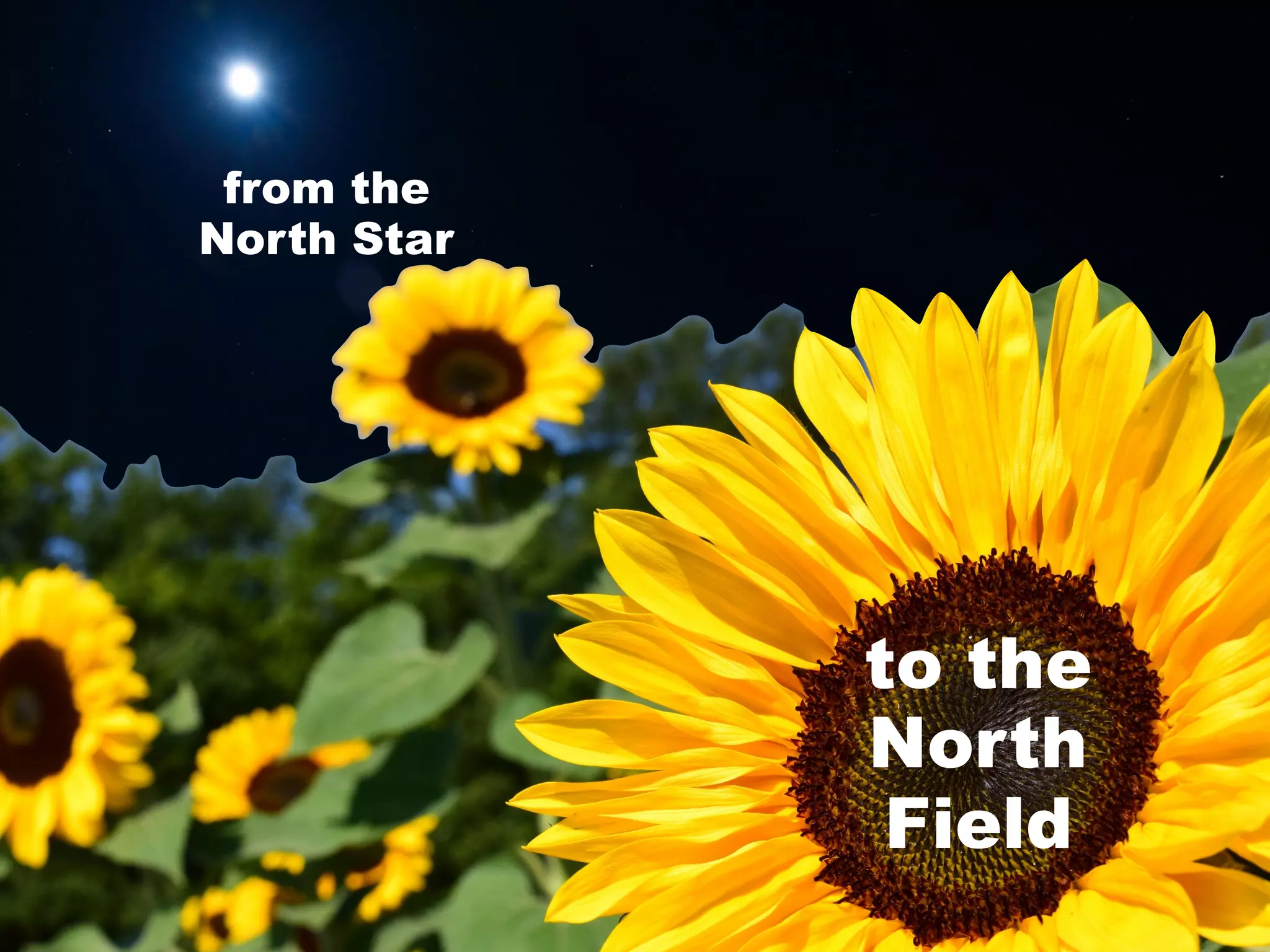 from the
North Star
to the
North
Field
 