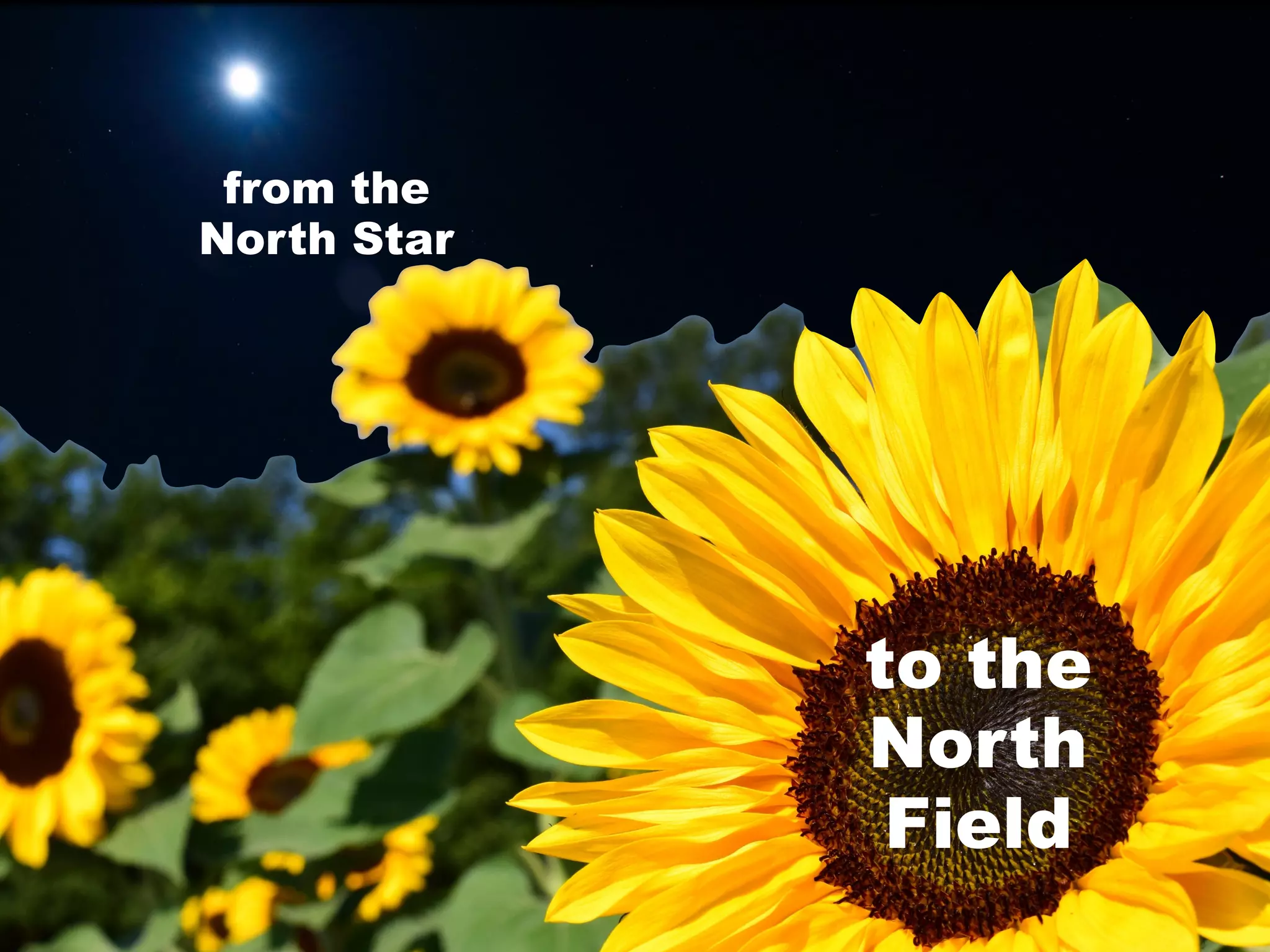 from the
North Star
to the
North
Field
 