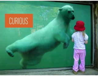 CURIOUS
CURIOUS
 