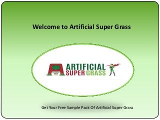 Welcome to Artificial Super Grass
Get Your Free Sample Pack Of Artificial Super Grass
 
