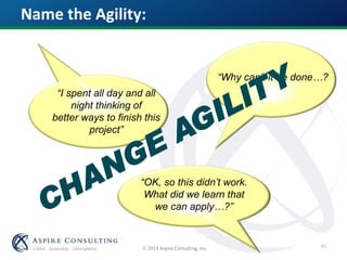  2013 Aspire Consulting, Inc.
“I spent all day and all
night thinking of
better ways to finish this
project”
“Why can’t it be done…?
“OK, so this didn’t work.
What did we learn that
we can apply…?”
Name the Agility:
45
 