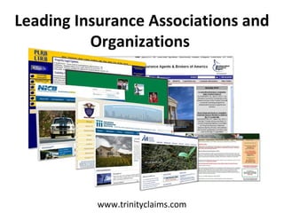 Leading Insurance Associations and
          Organizations




           www.trinityclaims.com
 