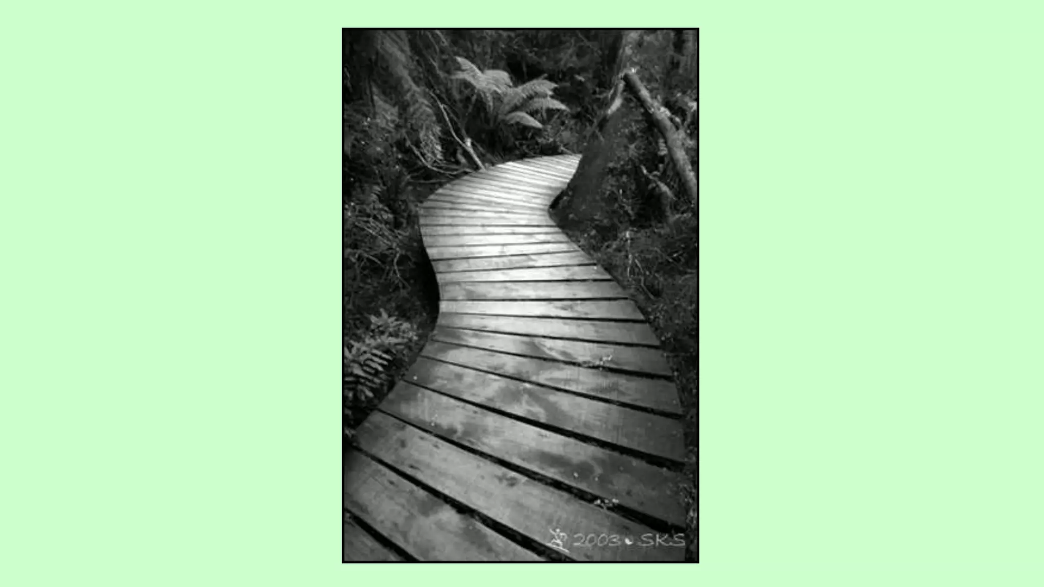 Leading lines examples