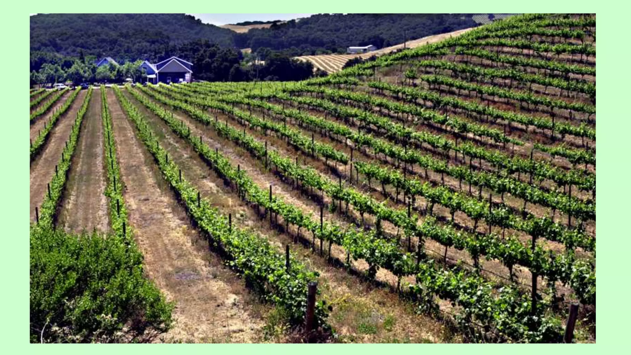 Leading lines examples