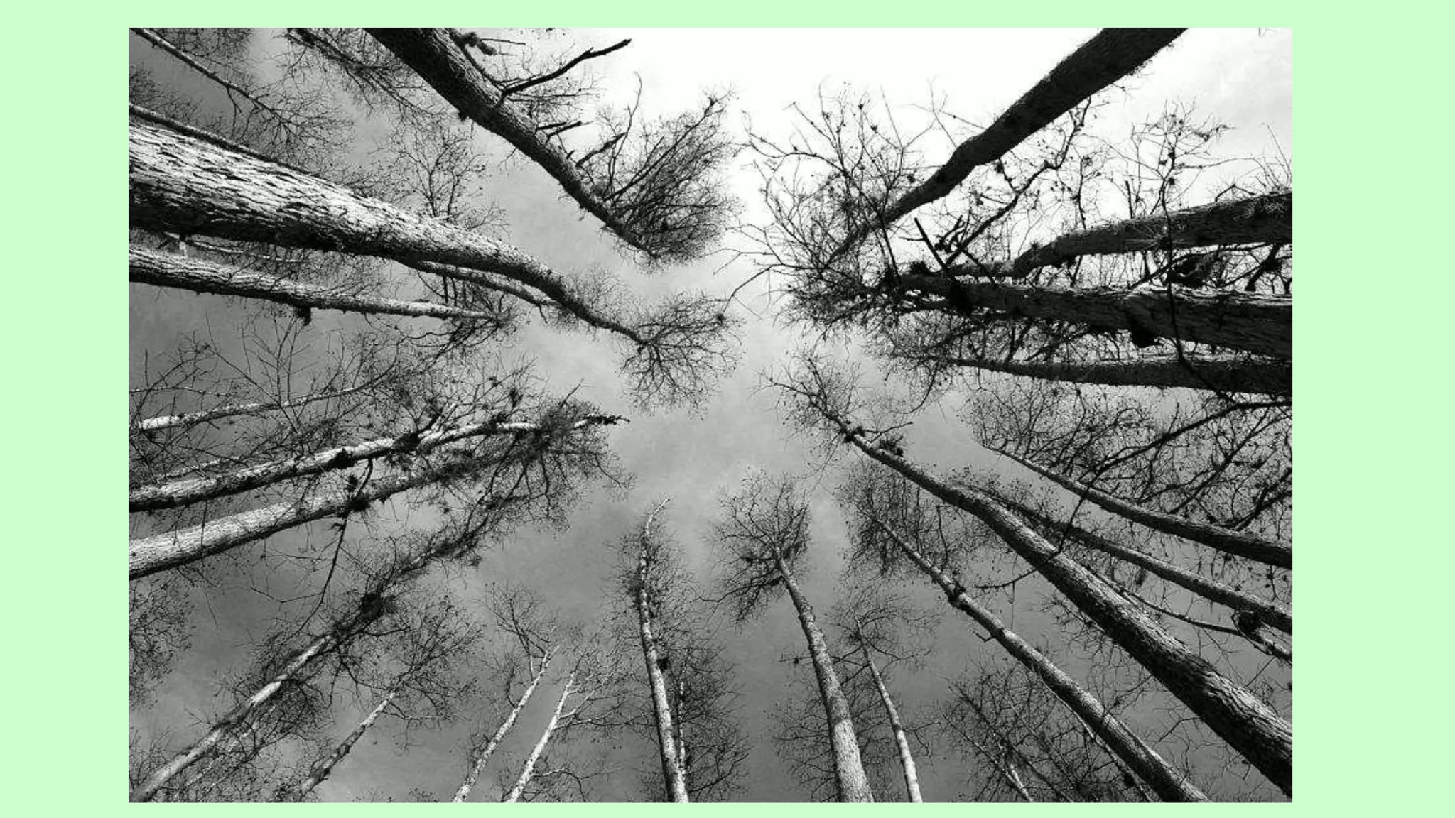 Leading lines examples