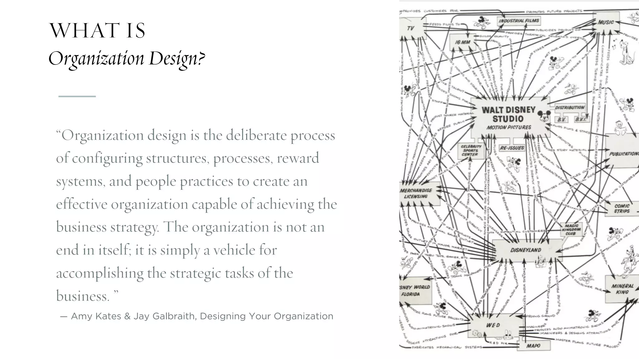 Leading Organizational Design and Transformation | PDF