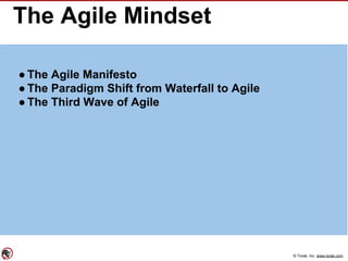 © Torak, Inc. www.torak.com
The Agile Mindset
● The Agile Manifesto
● The Paradigm Shift from Waterfall to Agile
● The Third Wave of Agile
 