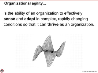 © Torak, Inc. www.torak.com
Organizational agility...
is the ability of an organization to effectively
sense and adapt in complex, rapidly changing
conditions so that it can thrive as an organization.
 