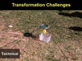 Transformation Challenges




Technical
 