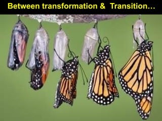 Between transformation & Transition…
 