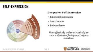 Self Expression Model Leading with Emotional Intelligence Workshop | PDF