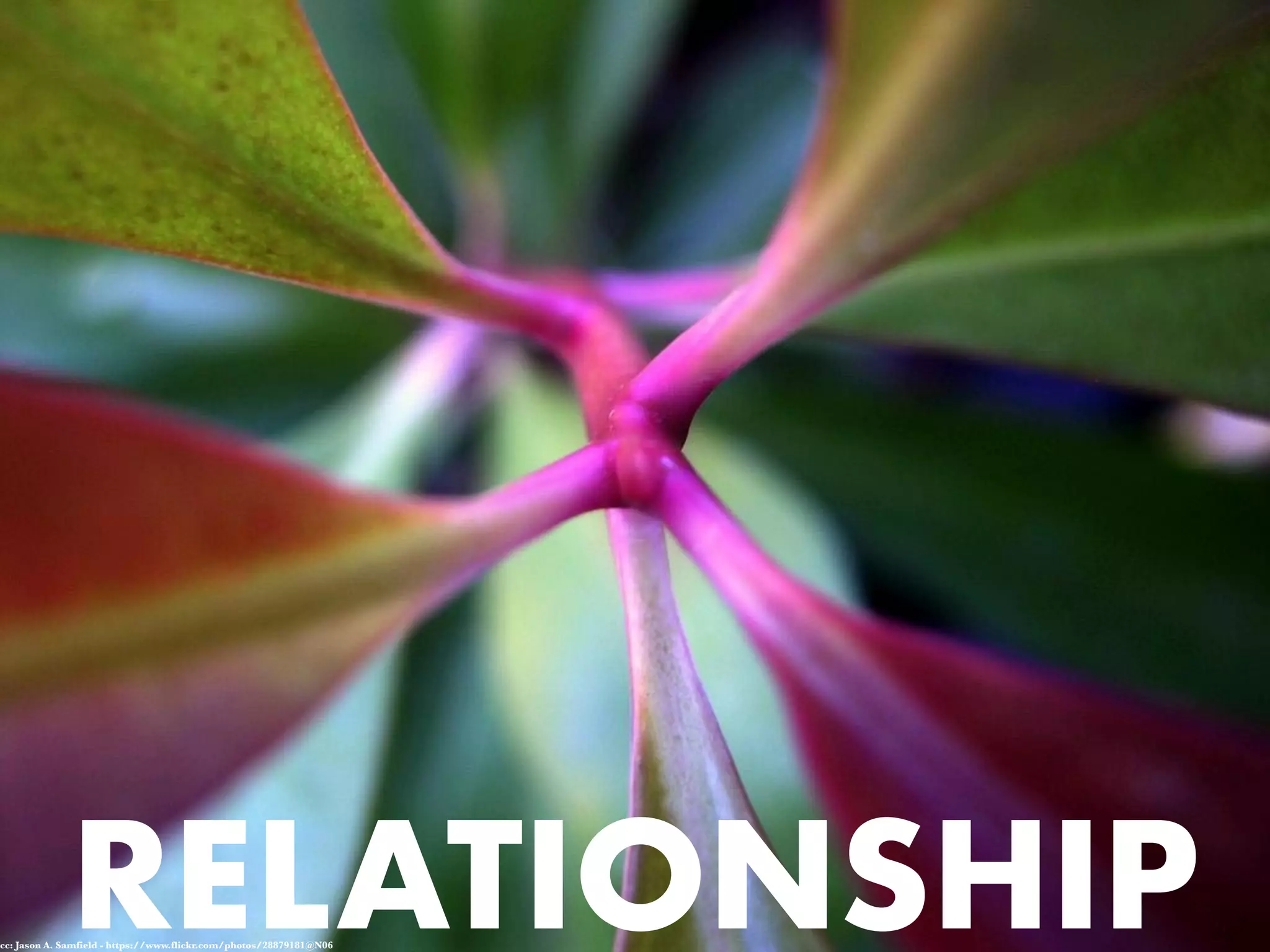 RELATIONSHIPcc: Jason A. Samfield - https://www.flickr.com/photos/28879181@N06
 