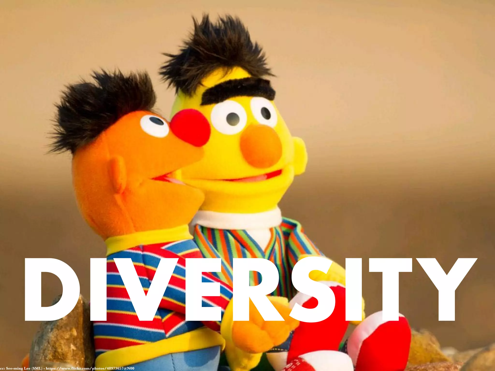 DIVERSITY
cc: See-ming Lee (SML) - https://www.flickr.com/photos/48973657@N00
 