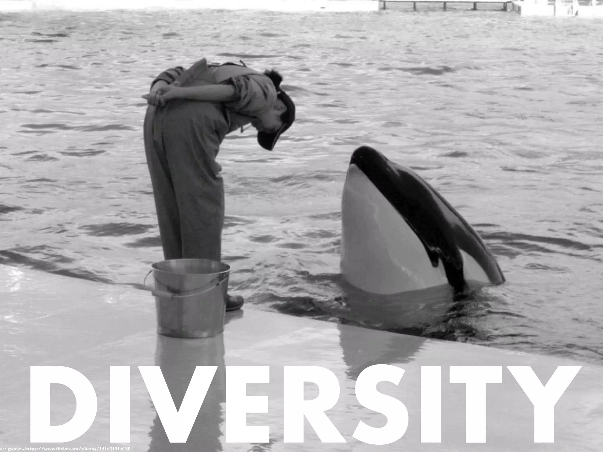 DIVERSITYcc: gwaar - https://www.flickr.com/photos/14163131@N04
 