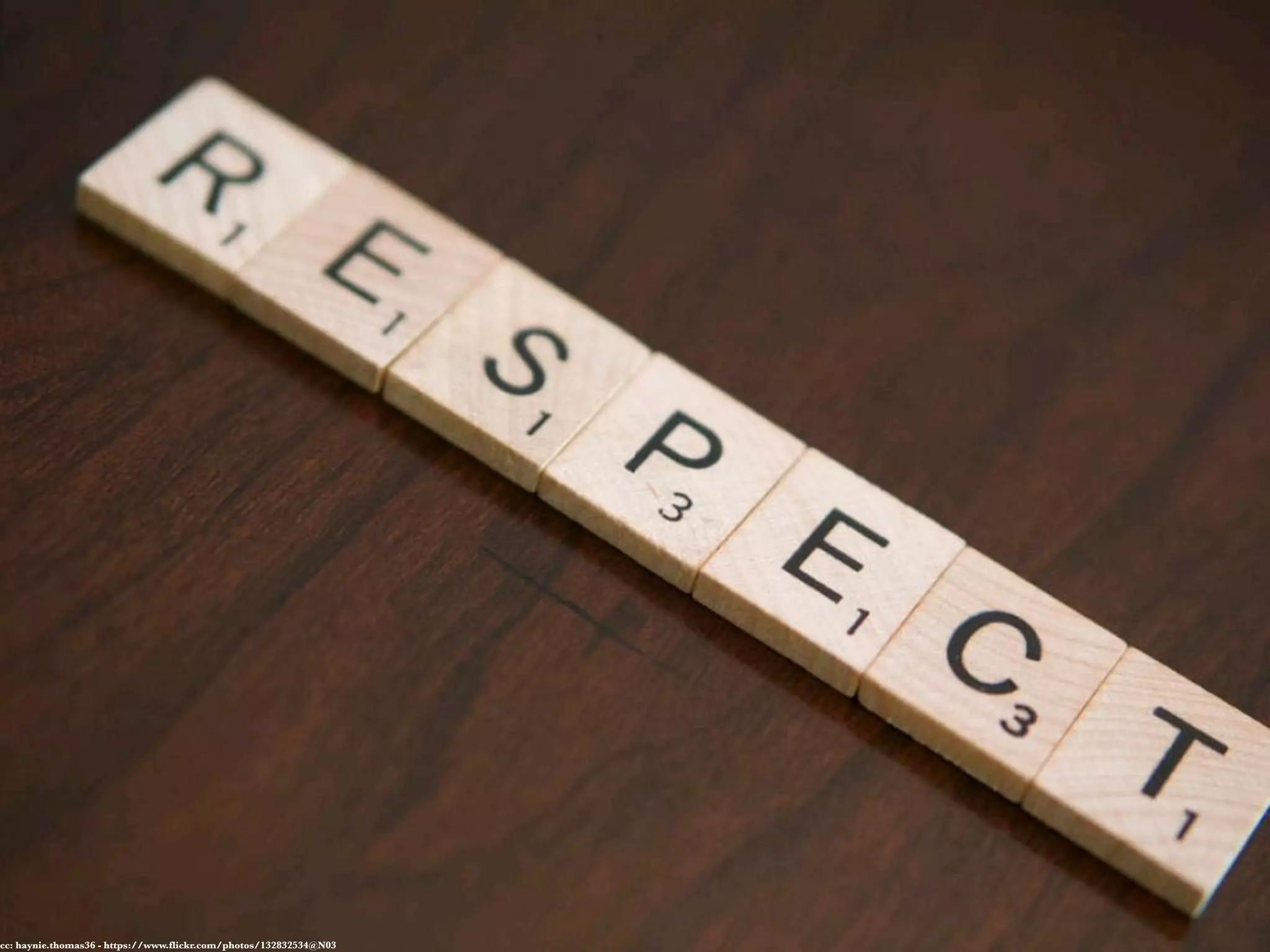 cc: haynie.thomas36 - https://www.flickr.com/photos/132832534@N03
 