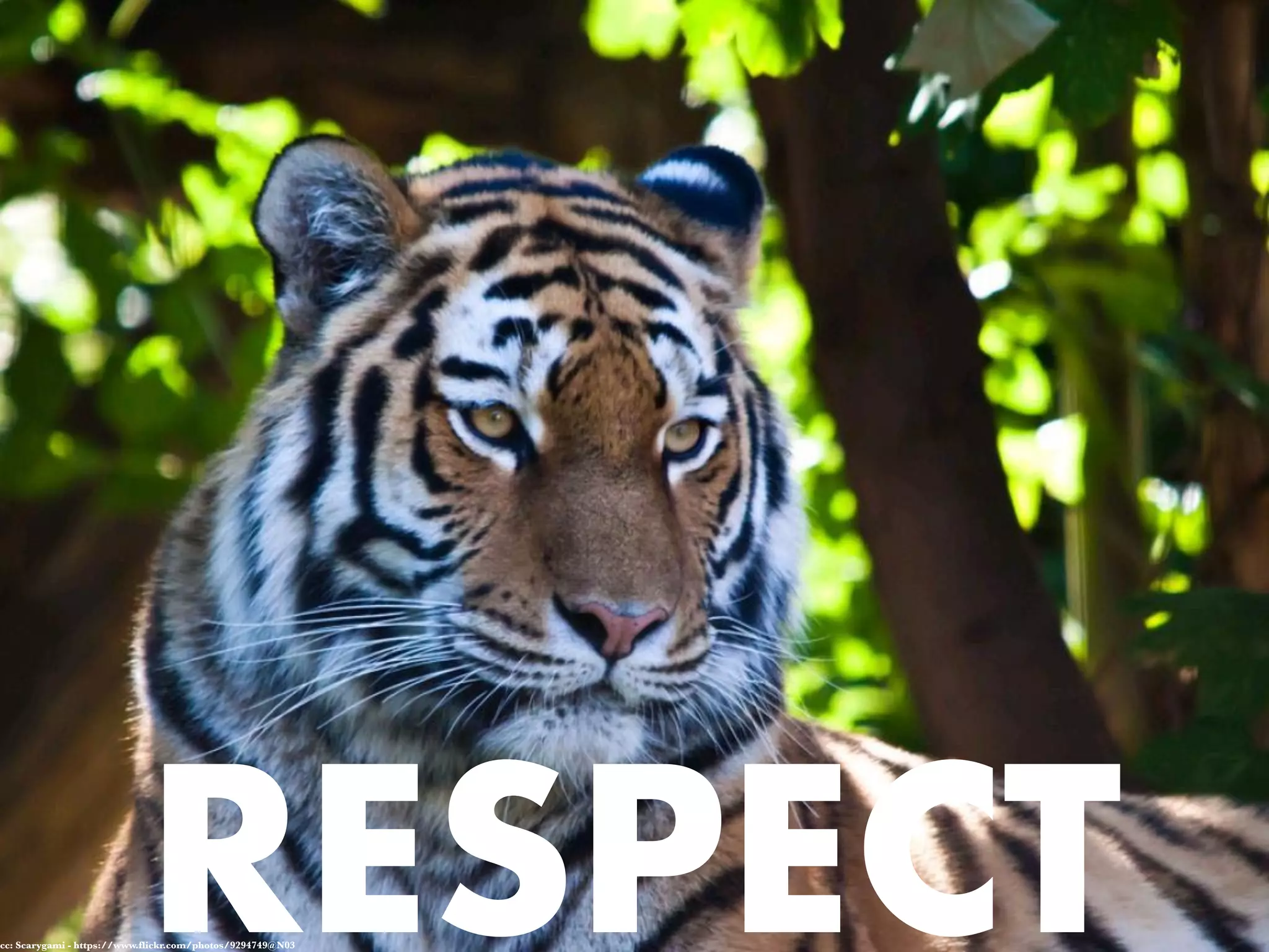 RESPECTcc: Scarygami - https://www.flickr.com/photos/9294749@N03
 