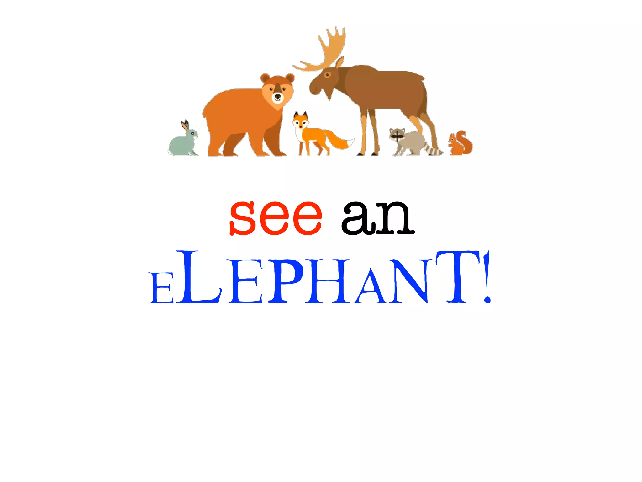 see an
elephant!
 
