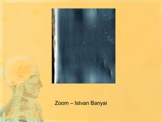 Zoom – Istvan Banyai

 