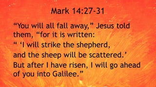 Mark 14:27-31
“You will all fall away,” Jesus told
them, “for it is written:
“ ‘I will strike the shepherd,
and the sheep will be scattered.’
But after I have risen, I will go ahead
of you into Galilee.”
 