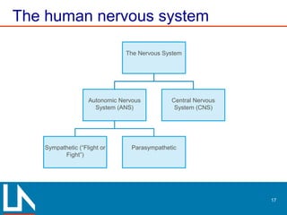 The human nervous system
17
The Nervous System
Autonomic Nervous
System (ANS)
Sympathetic (“Flight or
Fight”)
Parasympathetic
Central Nervous
System (CNS)
 