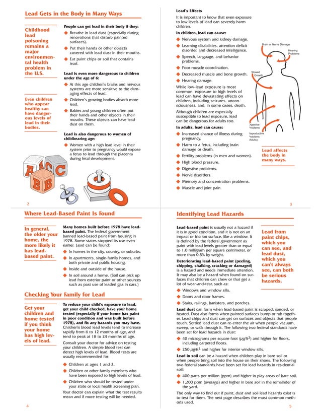 Lead paint pamphlet__free_epaisclosure PDF