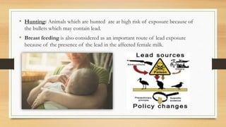 • Hunting: Animals which are hunted are at high risk of exposure because of
the bullets which may contain lead.
• Breast feeding is also considered as an important route of lead exposure
because of the presence of the lead in the affected female milk.
 