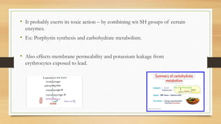 • It probably exerts its toxic action – by combining wit SH groups of certain
enzymes.
• Ex: Porphyrin synthesis and carbohydrate metabolism.
• Also effects membrane permeability and potassium leakage from
erythrocytes exposed to lead.
 